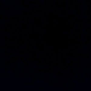 Meet your Posher, Kariah